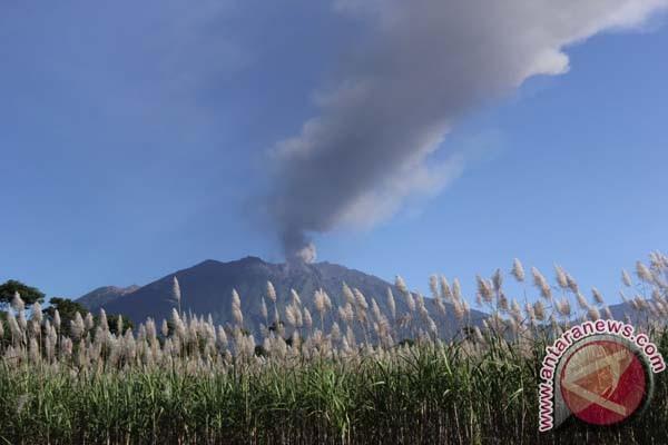 Erupsi Gunung Raung. Foto: Antara