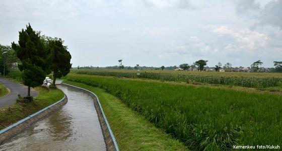 Bantuan Perbaiki Irigasi Bondowoso, Rp1 Juta Per Hektar Lahan