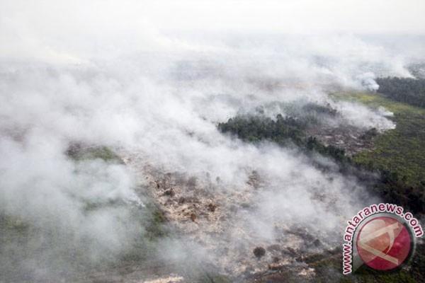 Karhutla Meluas, BNPB Upayakan Pemadaman Lewat Udara 