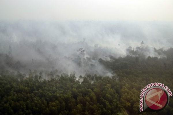 KLHK: Pemadaman Kebakaran Hutan Akan Difokuskan Melalui Jalur Darat